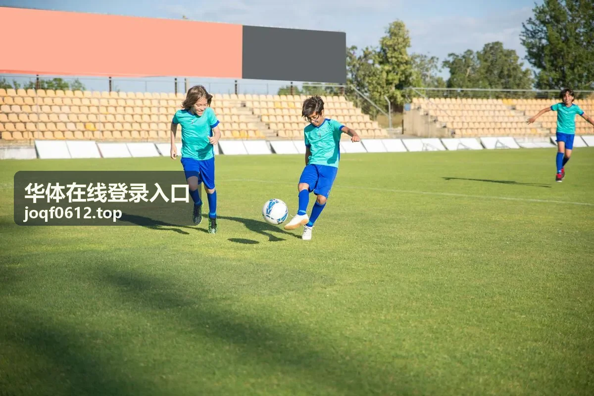 华体在线登录入口网页端账号与验证码填写界面示意